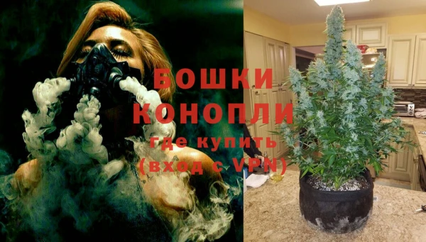 винт Белокуриха