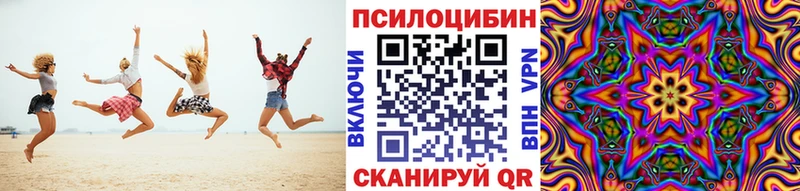 Псилоцибиновые грибы Cubensis  Гулькевичи 