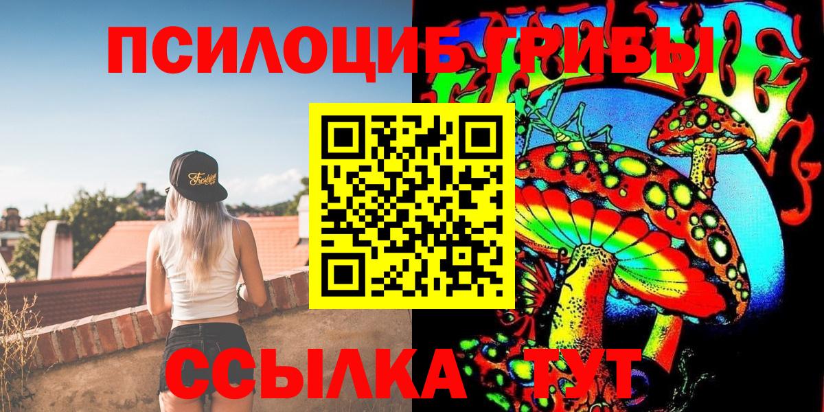 Псилоцибиновые грибы Cubensis  купить закладку  Гулькевичи  Вход с VPN 